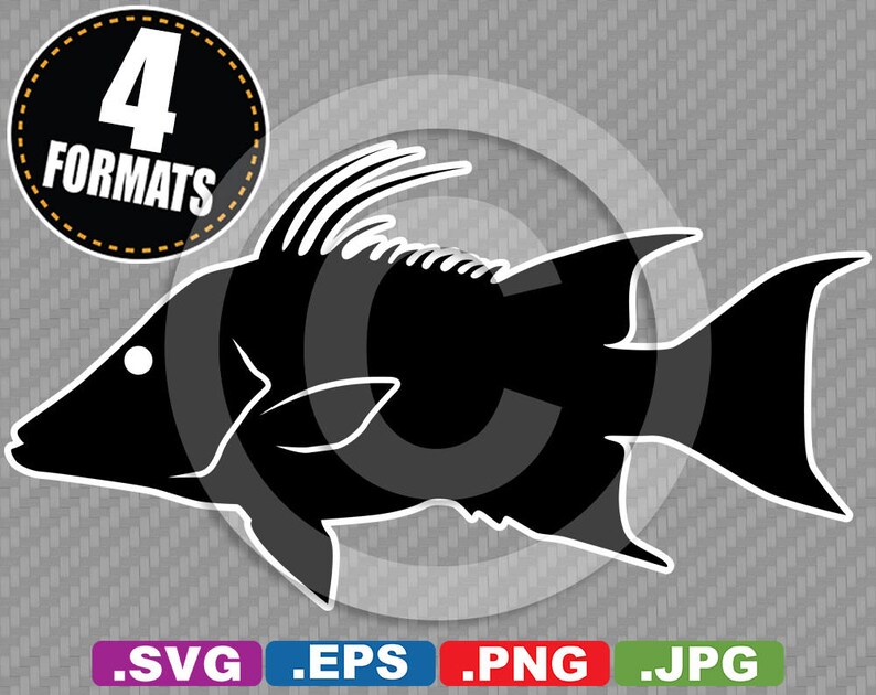Hogfish Clip Art Image - SVG Cutting File Plus Eps (vector), Jpg, & Png ...