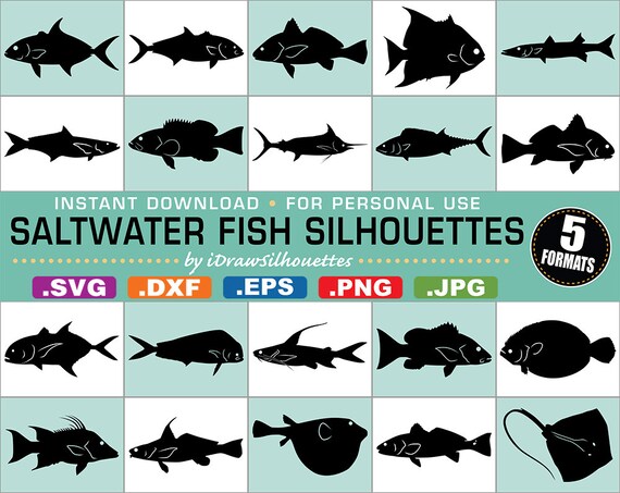Download 65 Saltwater Fish Clip Art Images 5 Formats Svg Dxf Jpg Etsy