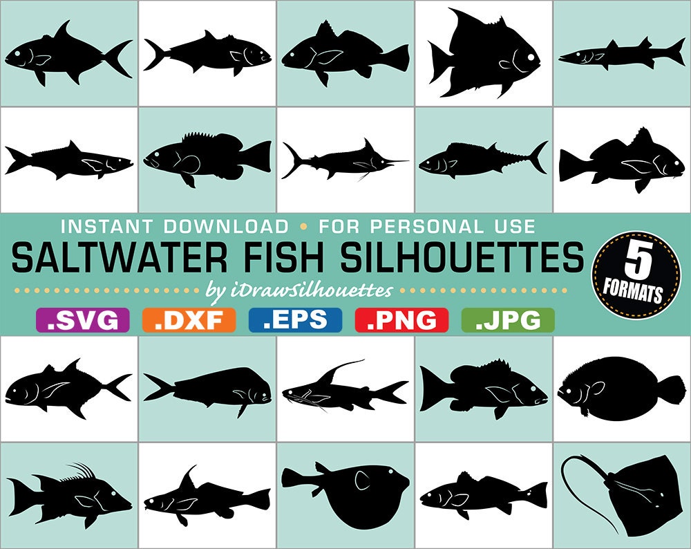 Download 65 Saltwater Fish Clip Art Images 5 Formats Svg Dxf Jpg Etsy