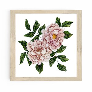 Peony Print of Watercolor Painting for Wall Art