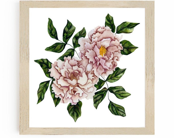 Peony Print of Watercolor Painting for Wall Art