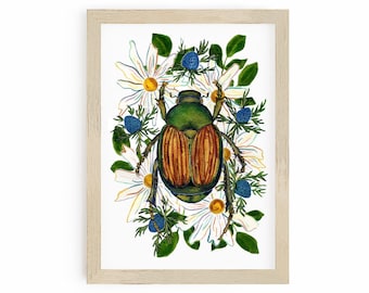 June Bug Beetle Art Print, Insect Taxidermy