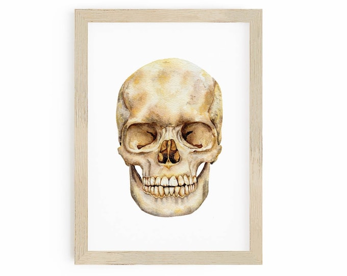 Human Skull Painting, Easy Halloween Decor