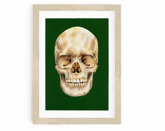 Human Skull Painting, Easy Halloween Decor