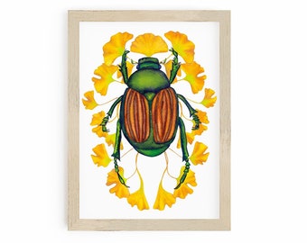 Gingko June Bug Beetle Art Print, Insect Taxidermy