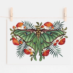 Luna Moth Print with Mushroom Art, Decor