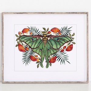 Lámina artística de hongo con polilla lunar, decoración