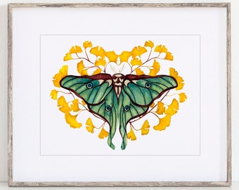 Luna Moth Print with Ginkgo Biloba tree