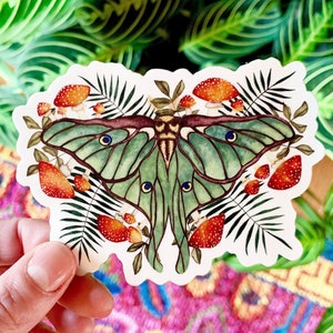 Luna Moth Sticker / Mushroom Sticker Amanita