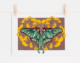 Luna Moth Print with Ginkgo Biloba tree