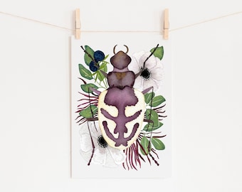 Beetle Art Print of Insect Taxidermy