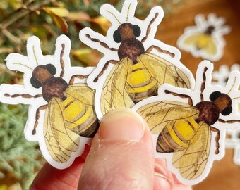 Honey Bee Sticker Set: Watercolor Vinyl Decals
