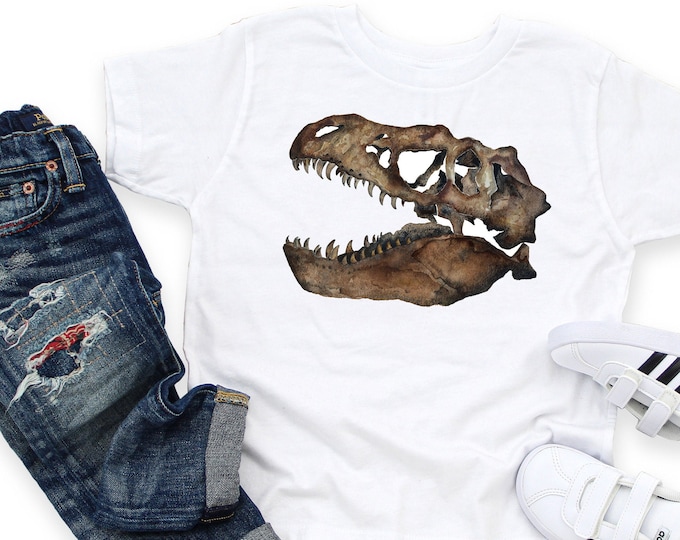 Dinosaur Shirt Boy, Girl, Kids Dinosaur gift