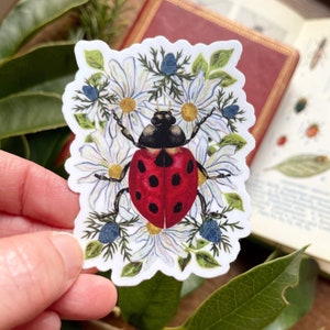 Ladybug Sticker for Coffee Mug Decal image 1