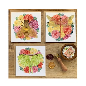 Bee Card Set, Dragonfly Notecard & Luna Moth Card, note cards, greeting card