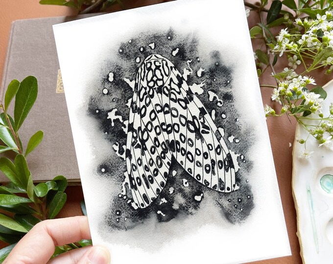 Moth Print of Insect Taxidermy