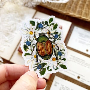 June Bug Beetle Sticker or Insect Sticker