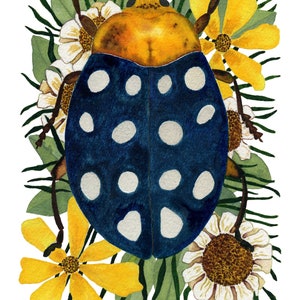 Nature Postcard Set with Insect Entomology imagem 7