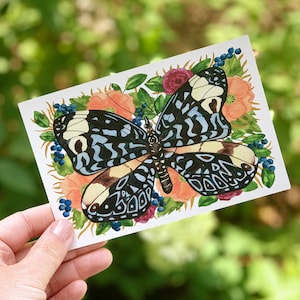 Nature Postcard Set with Monarch for Butterfly Postcard image 3