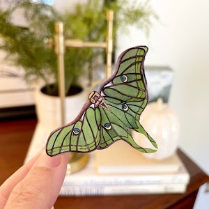 Lot de cartes postales Sculpture papillon de nuit Luna