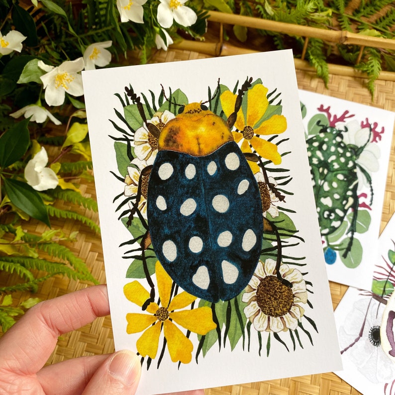 Nature Postcard Set with Insect Entomology imagem 3