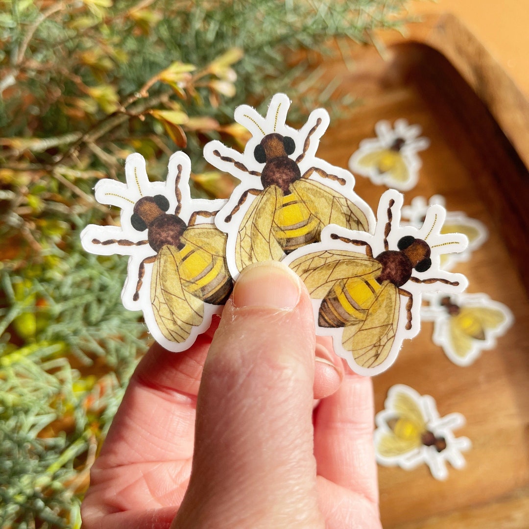 Honey Bee Sticker Set: Watercolor Vinyl Decals - Etsy