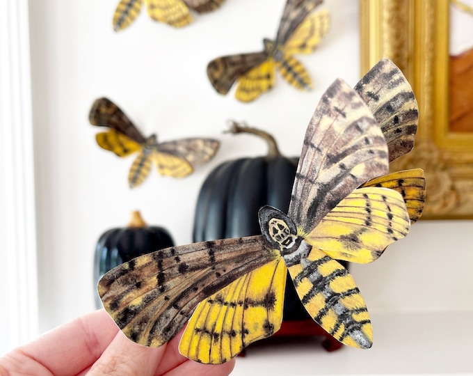 Death Moth Sculpture Wall Prints
