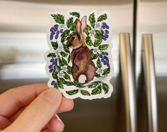 Magnet for Year of the Rabbit, Car, Dishwasher