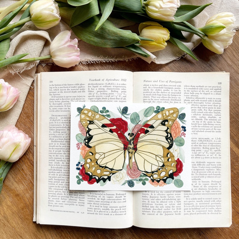 May include: A vintage book open to a page with a colourful illustration of a butterfly surrounded by flowers. The text on the page discusses the use of fumigants in agriculture.
