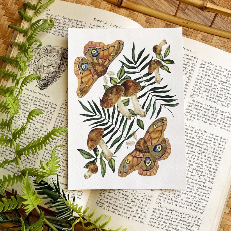 Moth Print with Mushroom Art, Decor image 6