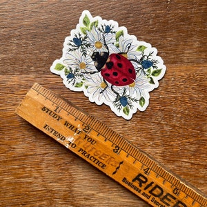 Ladybug Sticker for Coffee Mug Decal image 9