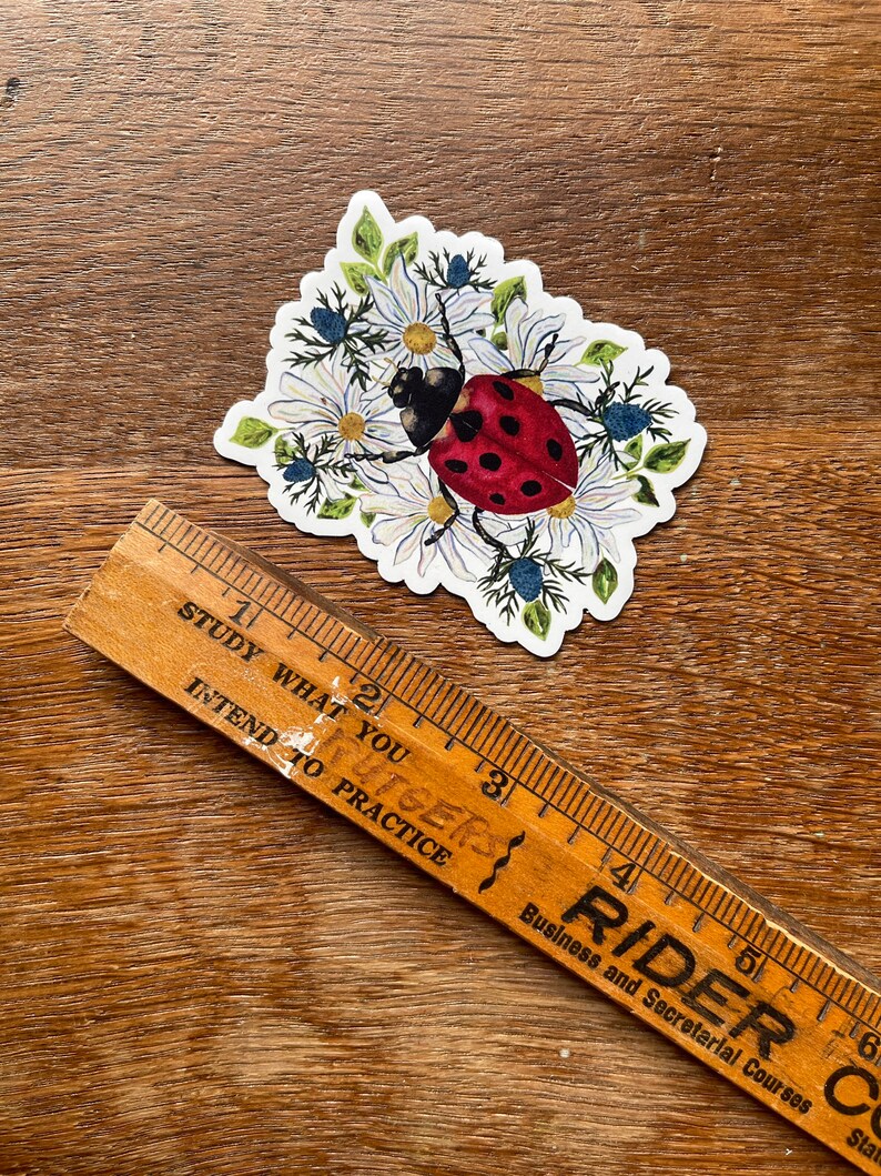 Ladybug Sticker for Coffee Mug Decal image 9