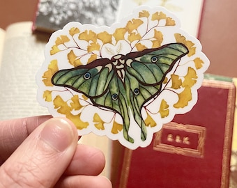 Luna Moth Sticker with Ginkgo leaf