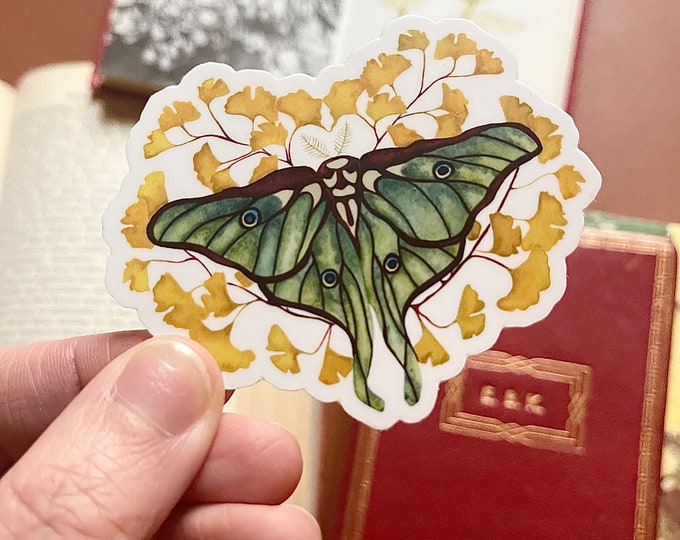 Luna Moth Sticker with Ginkgo leaf