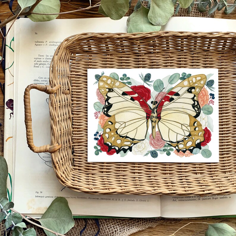 May include: A watercolour illustration of a butterfly with brown, white and red wings surrounded by red, white and green flowers. The butterfly is centred on a white background.