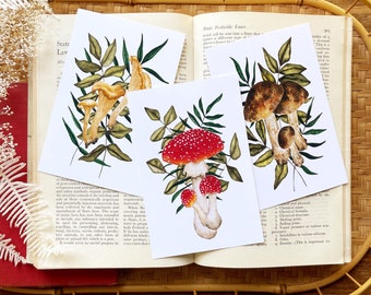 Illustrated Postcard Pack Amanita Muscaria Magic Mushrooms