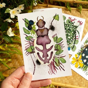 Nature Postcard Set with Insect Entomology imagem 2