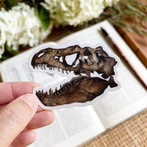 Dinosaur Skull Sticker of Coffee Mug Decal