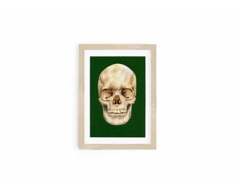 Human Skull Painting, Easy Halloween Decor