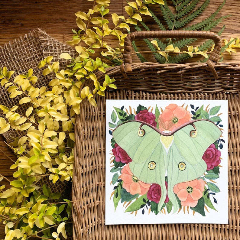 Luna Moth Print of Lunar Moth Painting for Lake House Decor, Art - Etsy
