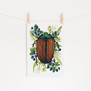 June Bug Insect Print of Original Watercolor Painting, Entomology Art