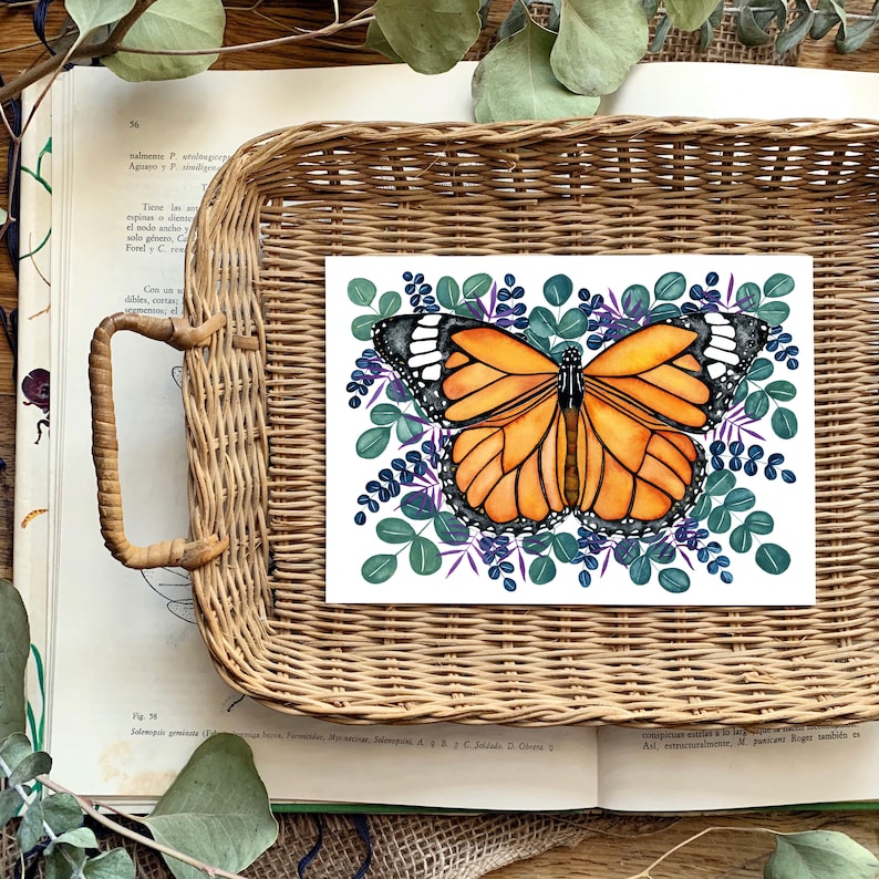 Nature Postcard Set with Monarch for Butterfly Postcard image 4