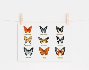 Butterfly Watercolor Faux Taxidermy print