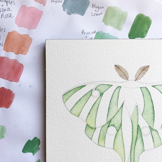 Home & Living Lunar Moth Painting Luna Moth Print of Insect Taxidermy ...