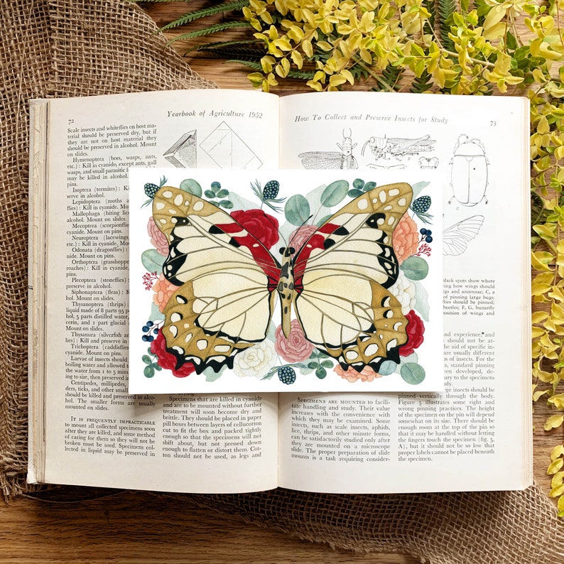 May include: A watercolour illustration of a butterfly with red, white, and gold wings. The butterfly is surrounded by pink, red, and white flowers. The image is from a book titled "Yearbook of Agriculture 1932".