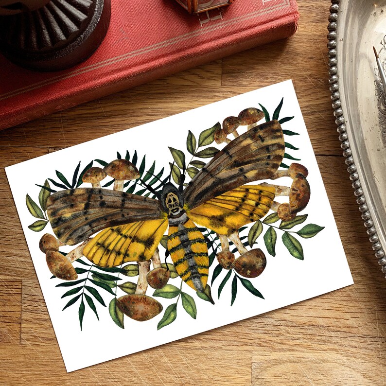 Deaths Head Moth Print for Mushroom Art Decor | Etsy
