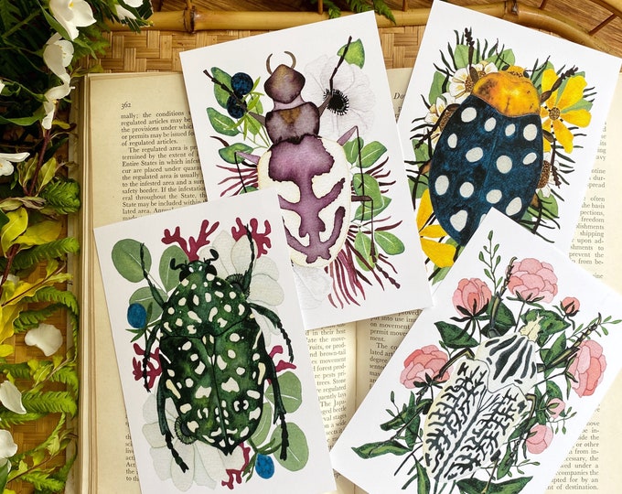 Nature Postcard Set with Insect Entomology