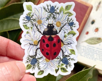 Ladybug Magnet for Dishwasher or Kitchen