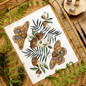Moth Print with Mushroom Art, Decor image 3