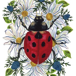 Ladybug Sticker for Coffee Mug Decal image 10